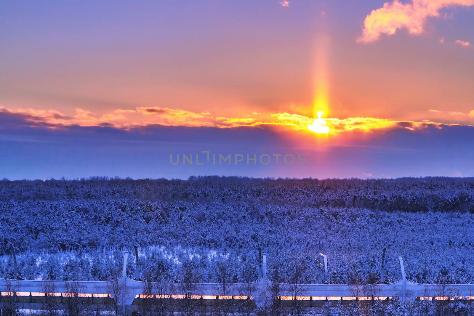 Beautiful winter landscape. View of the snow-covered pine forest at sunset by galsand