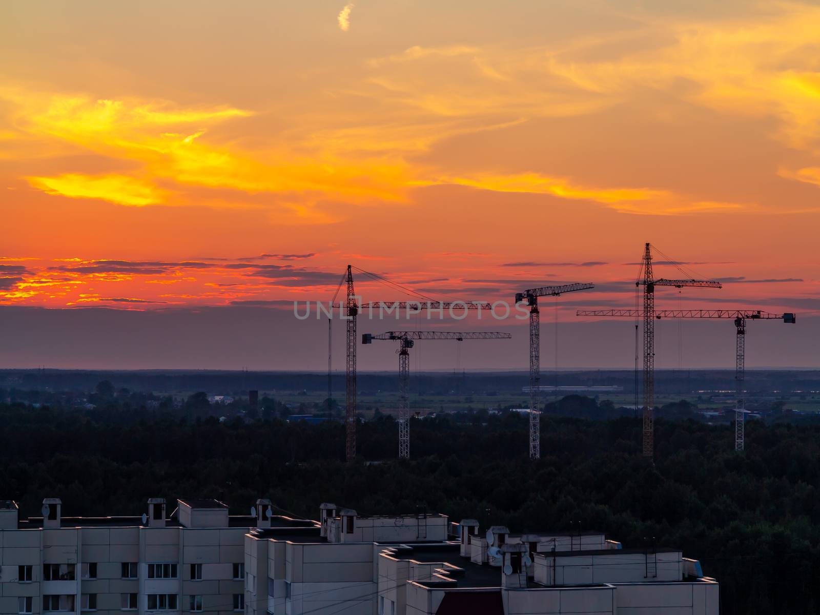 Several construction cranes on the background of colorful sunset sky.