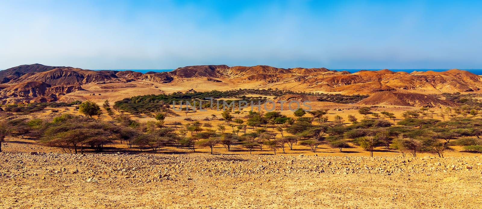 Panoramic view of the Salt Dome in the national park on the island of Sir Bani Yas, Abu Dhabi, United Arab Emirates.