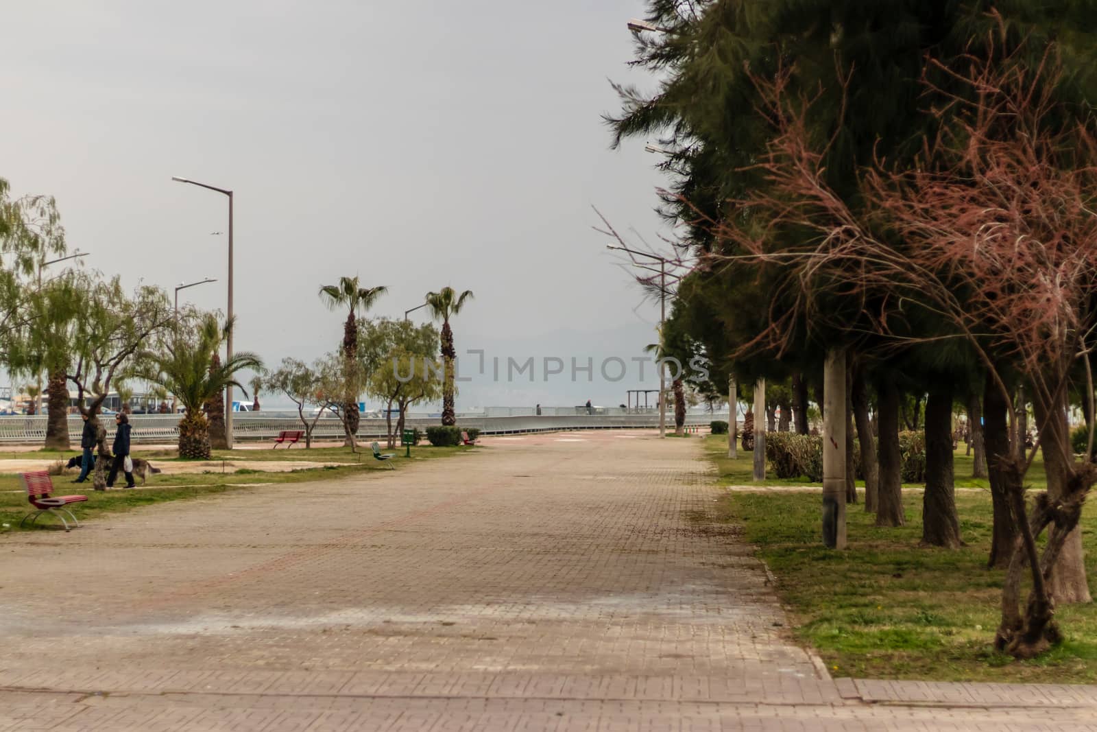 a landscape from a green park at izmir by Swonie