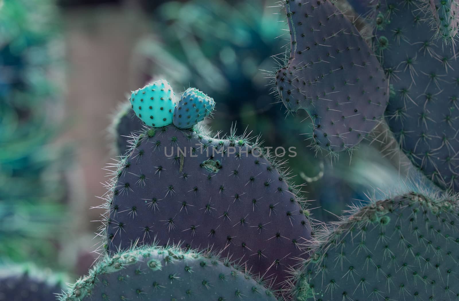 Surrealistic abstract glow thorny cactus with spikes and little fruits 