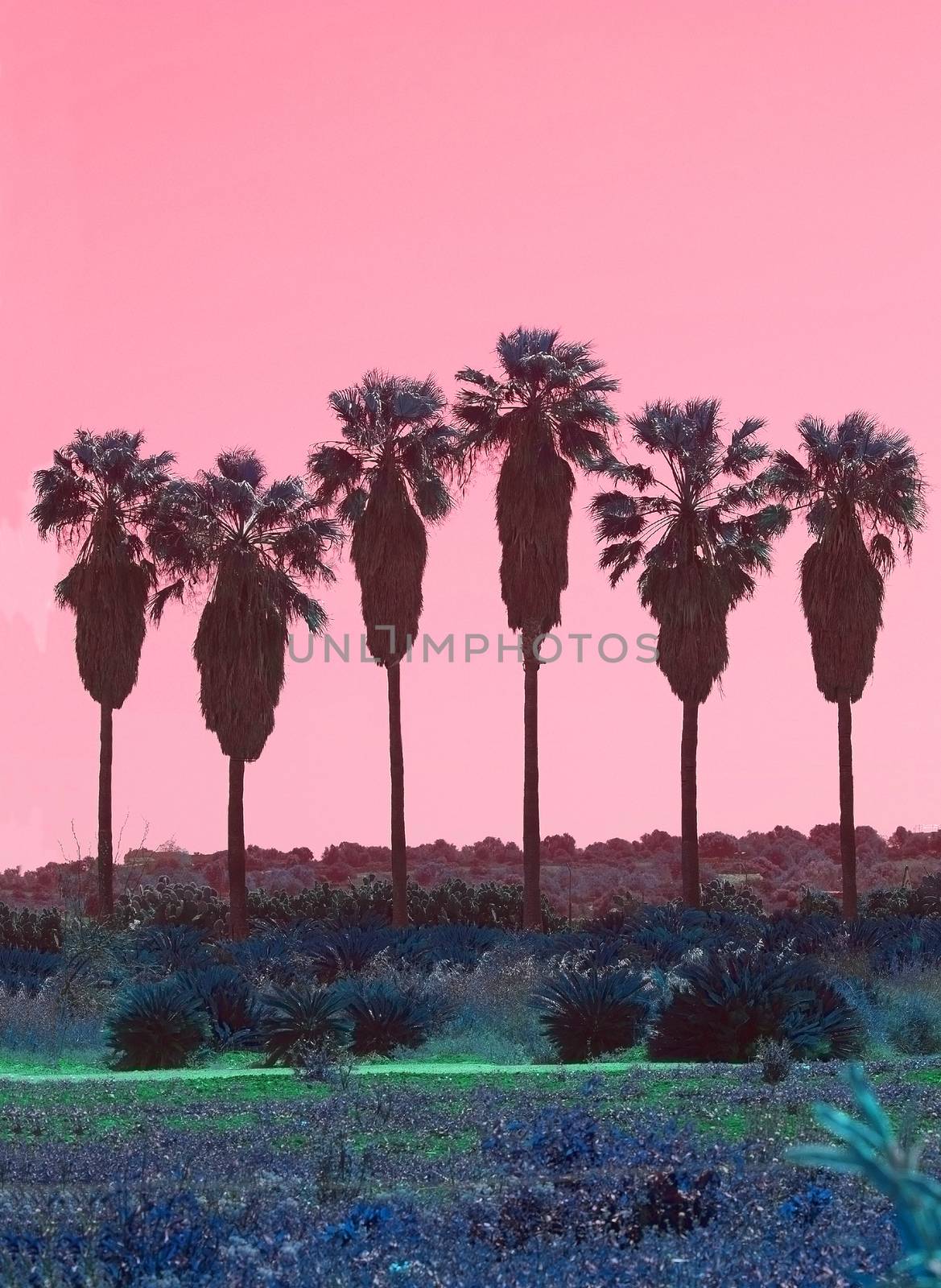 Palm trees in a row abstract surrealistic pink and green color  by ArtesiaWells