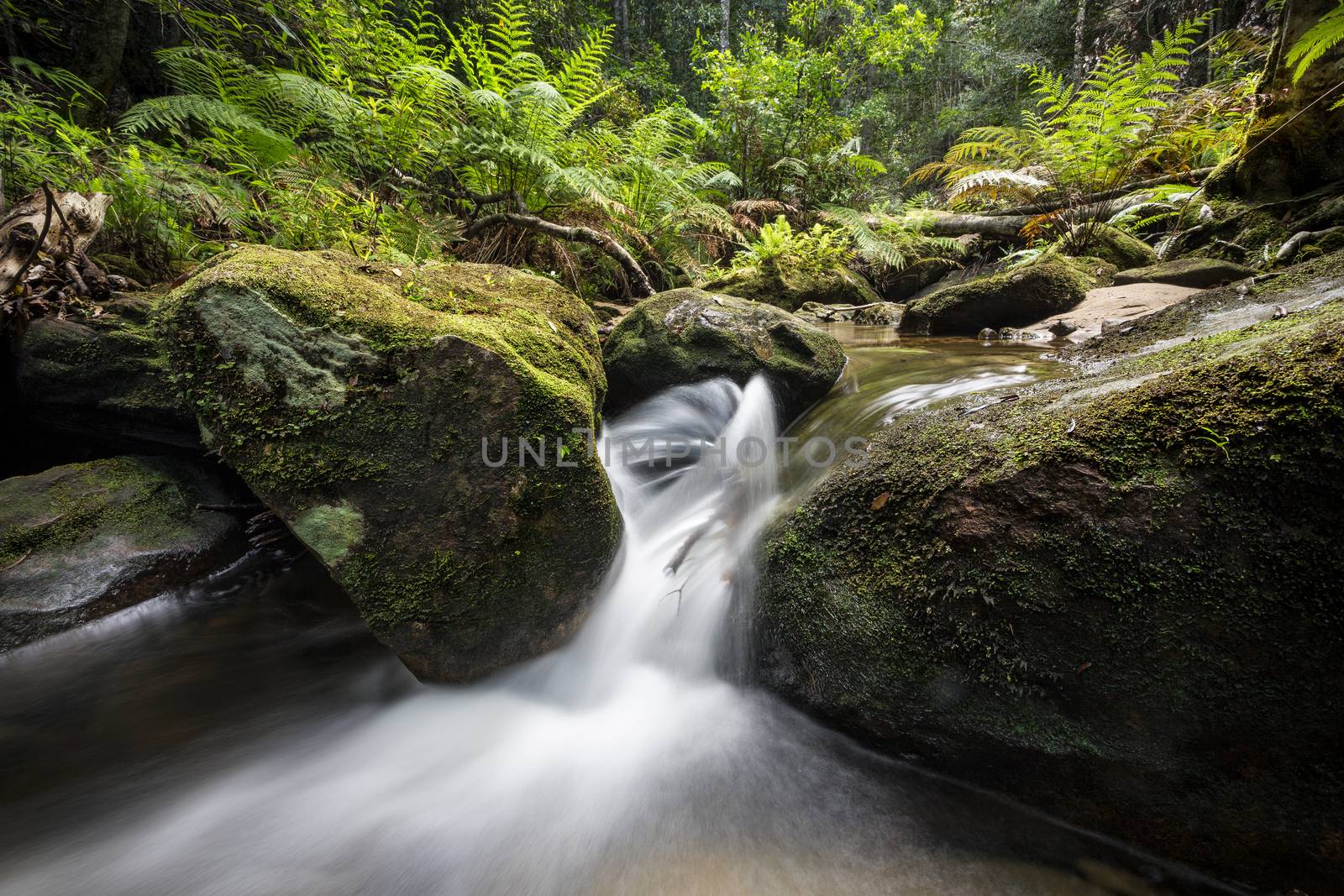 Spinning waterfall in lush forest by lovleah