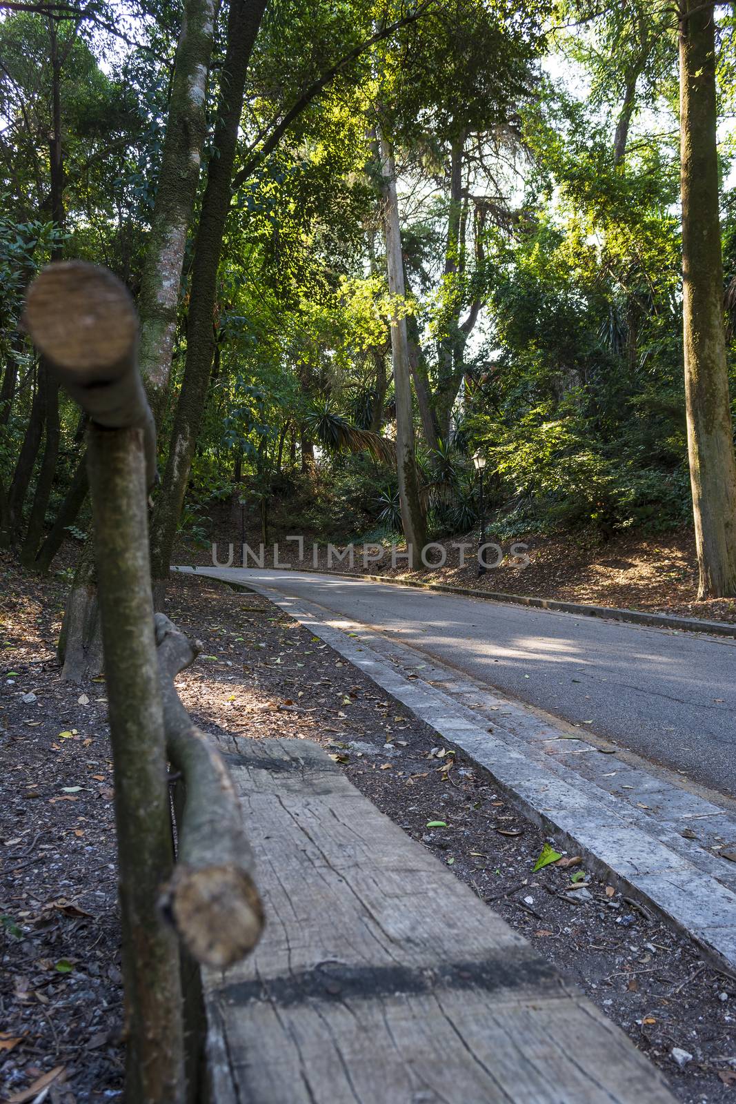 Mon Repos park at Corfu Town, Greece