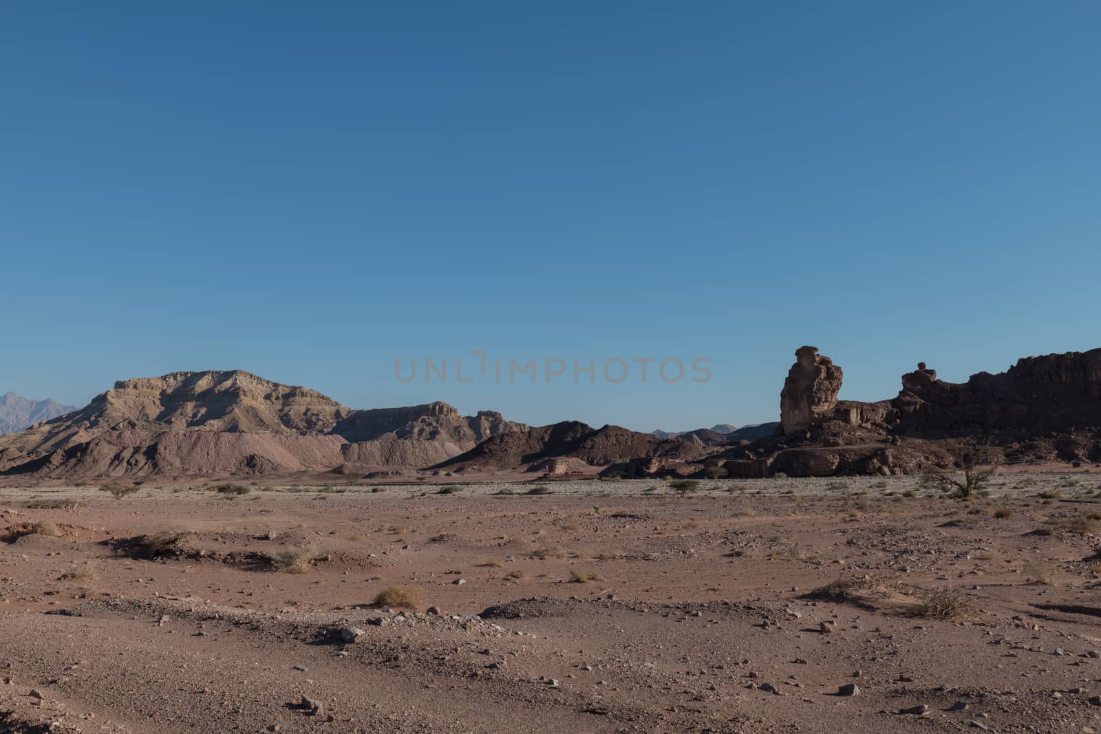 rocks and sand in tima national park in israel