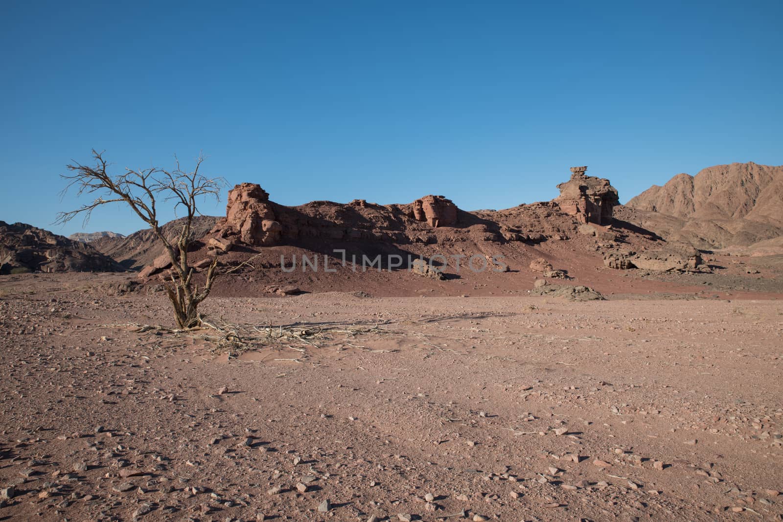 rocks and sand in tima national park in israel