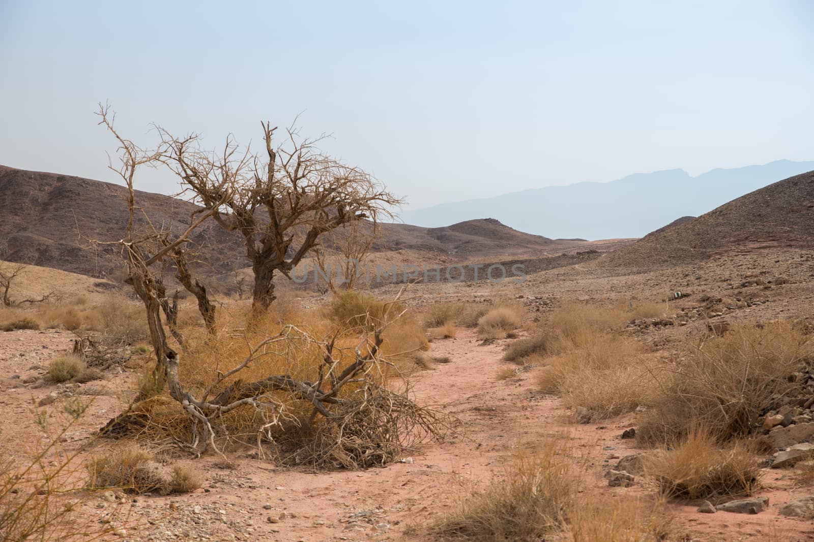 very dry and sandy timna national park in israel near Eilat