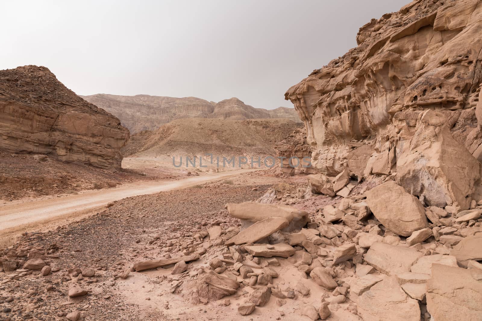 road in timna national park in south israel near eilat
