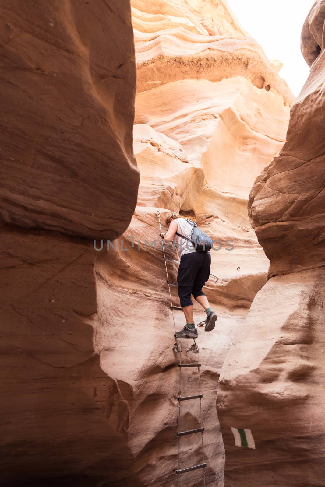 woman climb a ladder in the red canyon of israel near eilat