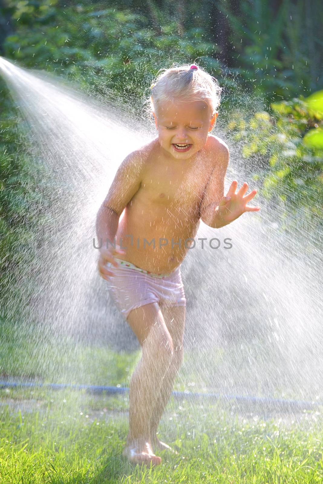 Adorable little girl playing with garden  sprinkler  sunny summer evening