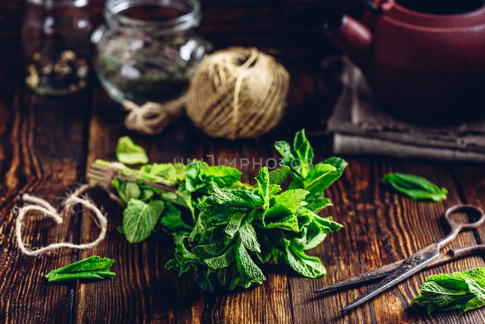 Bunch of Fresh Mint with Rusty Scissors. Tangle with Two Jars and Teapot on Backdrop.