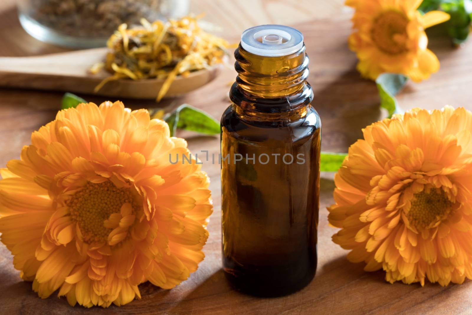 A dark bottle of calendula essential oil on a wooden table, with calendula flowers in the foreground