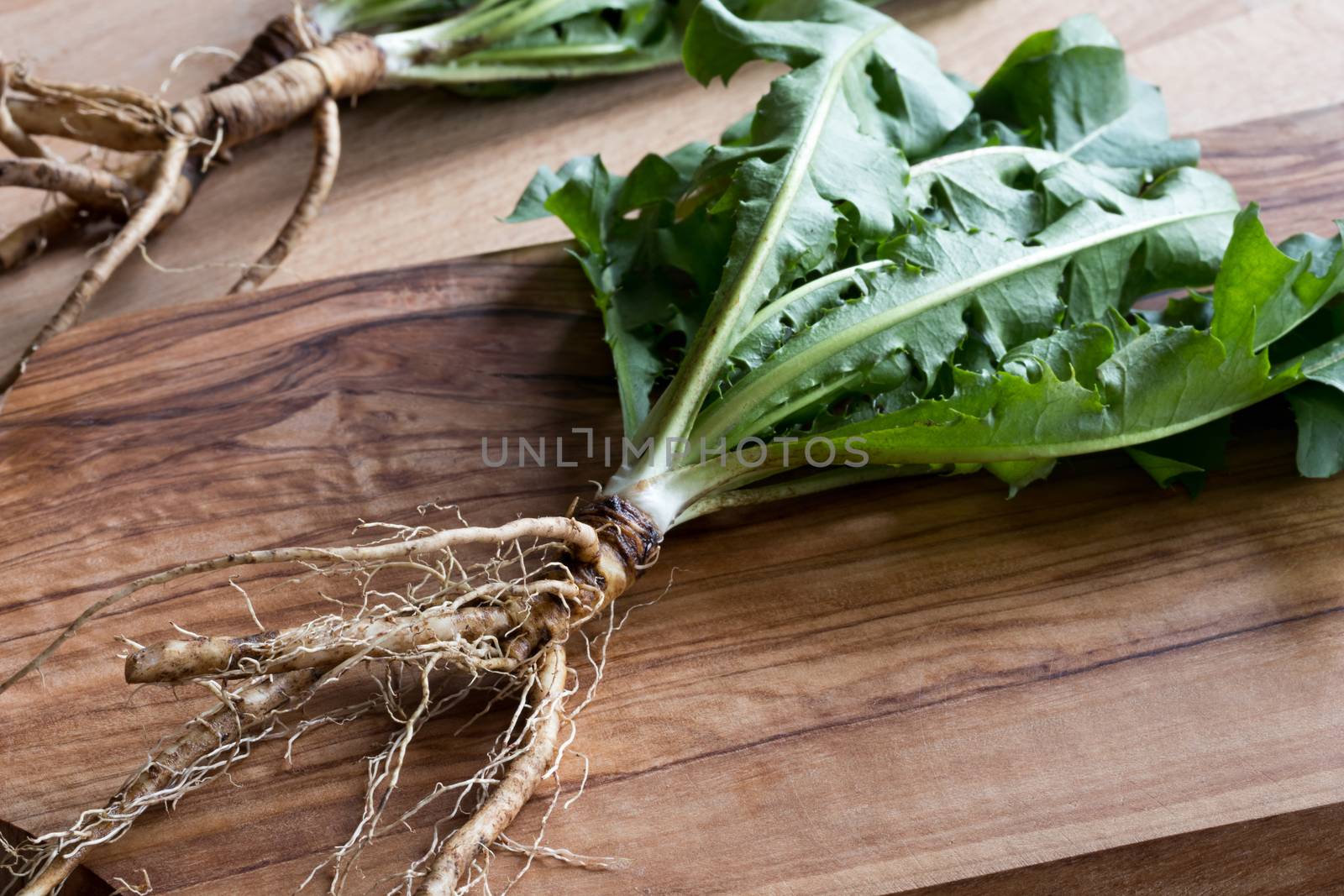 Dandelion root with leaves on a wooden table