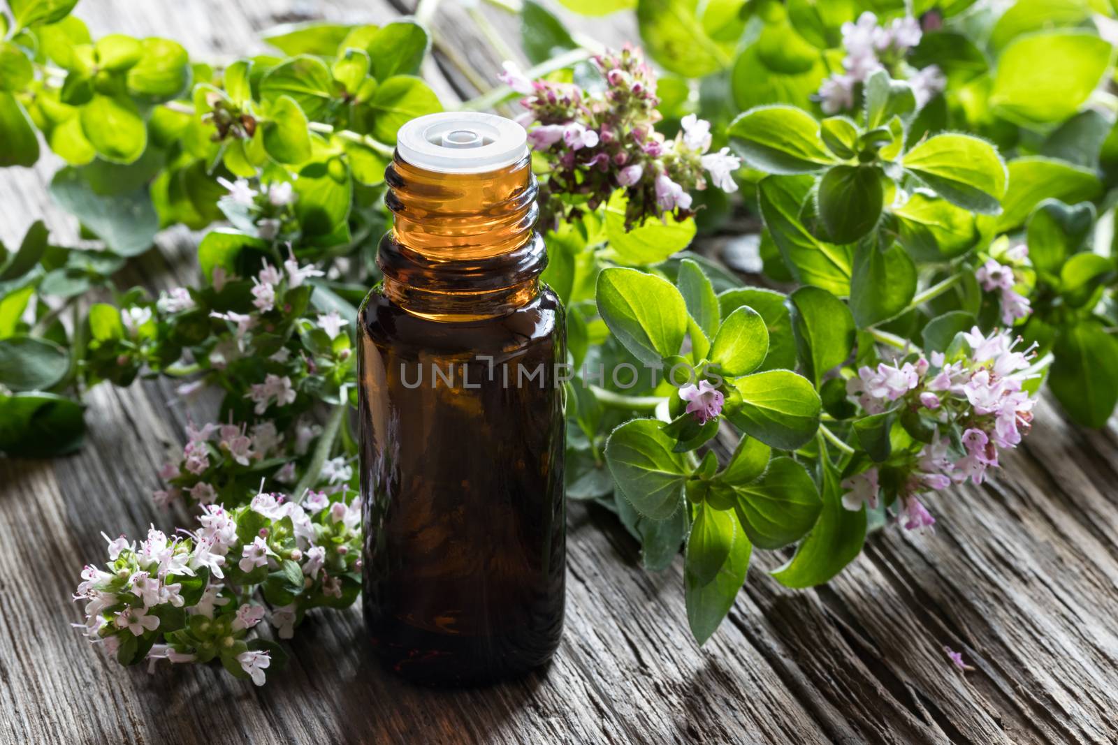 A dark bottle of oregano essential oil with blooming oregano twigs on a wooden background