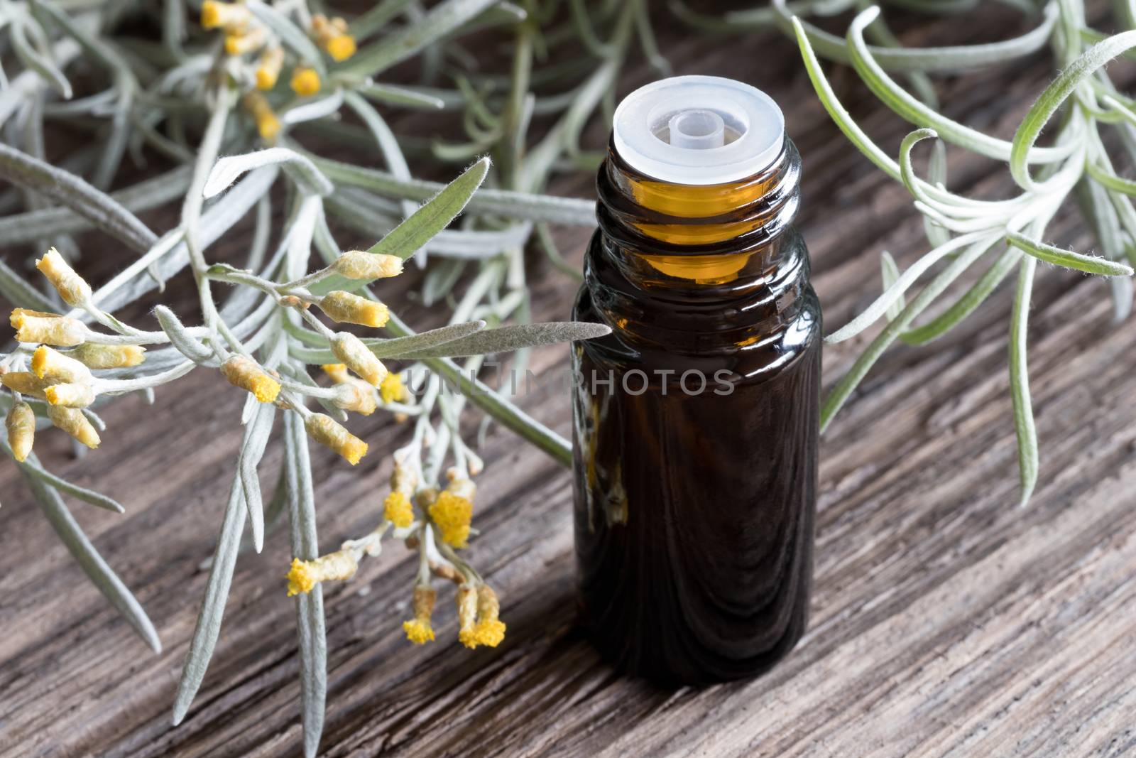 A dark bottle of helichrysum essential oil with blooming helichrysum italicum on a wooden background
