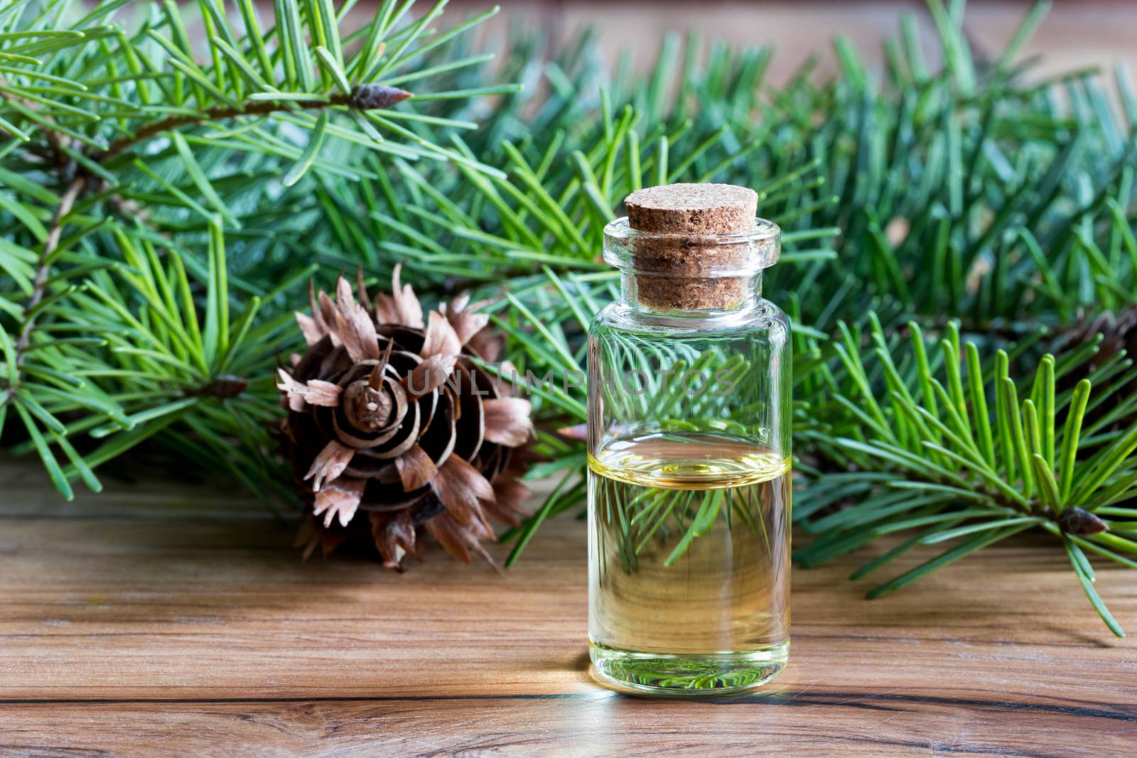 A bottle of Douglas fir essential oil with young Douglas fir branches