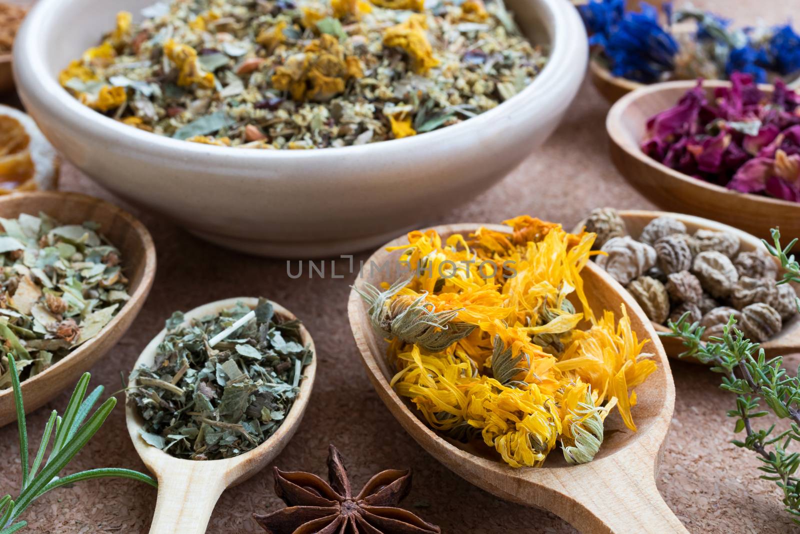 Dried calendula on a wooden spoon, with other herbs in the background (nasturtium seeds, cornflower, rose petals, star anise, thyme, rosemary, alchemilla)