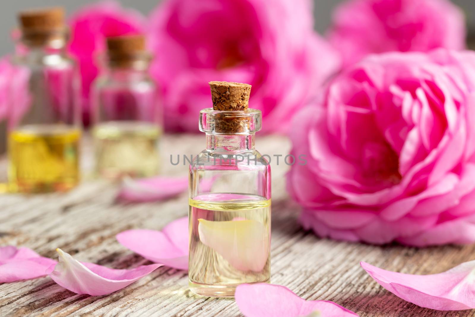 A bottle of essential oil with fresh roses and petals on a wooden background