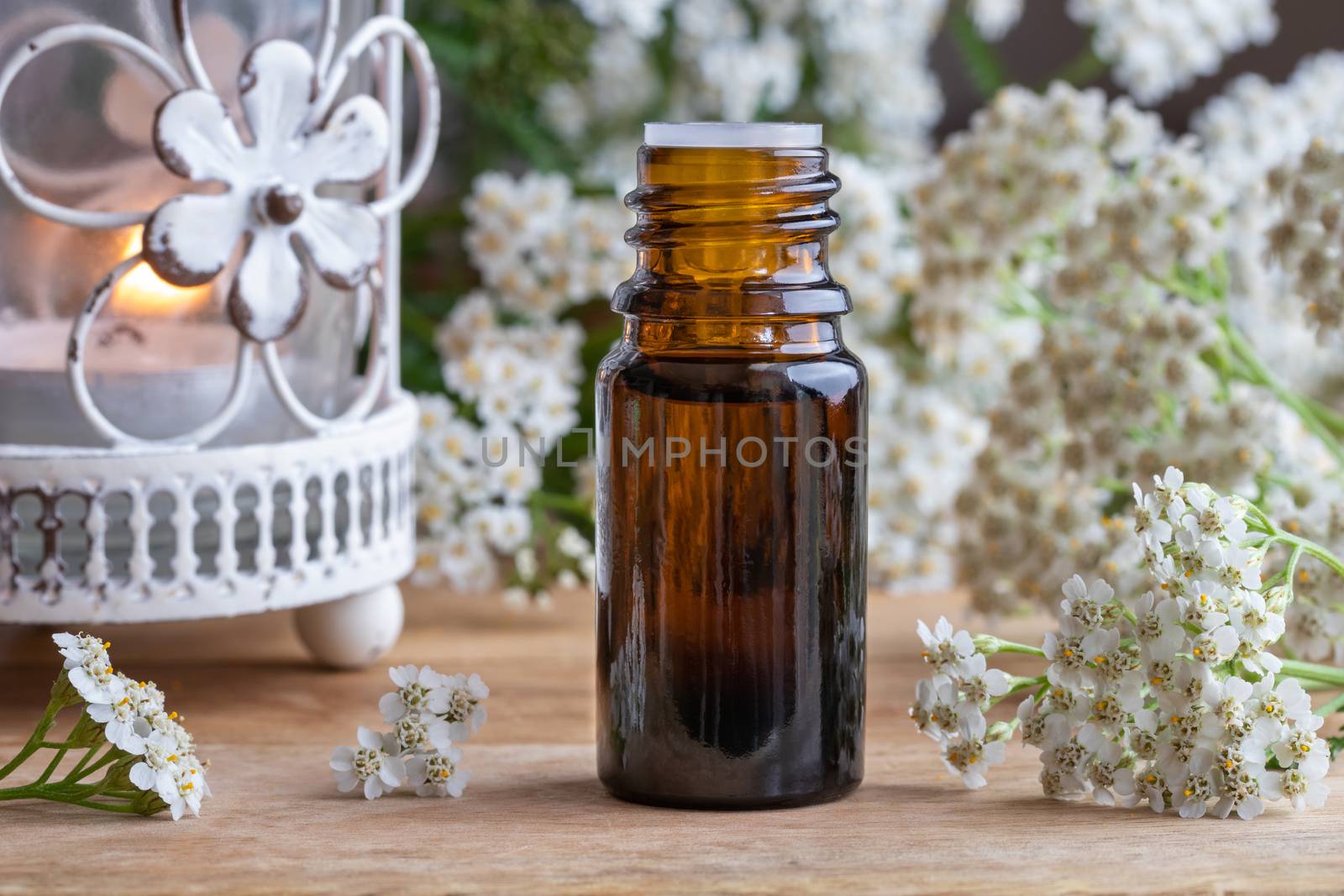 A bottle of essential oil with fresh yarrow flowers