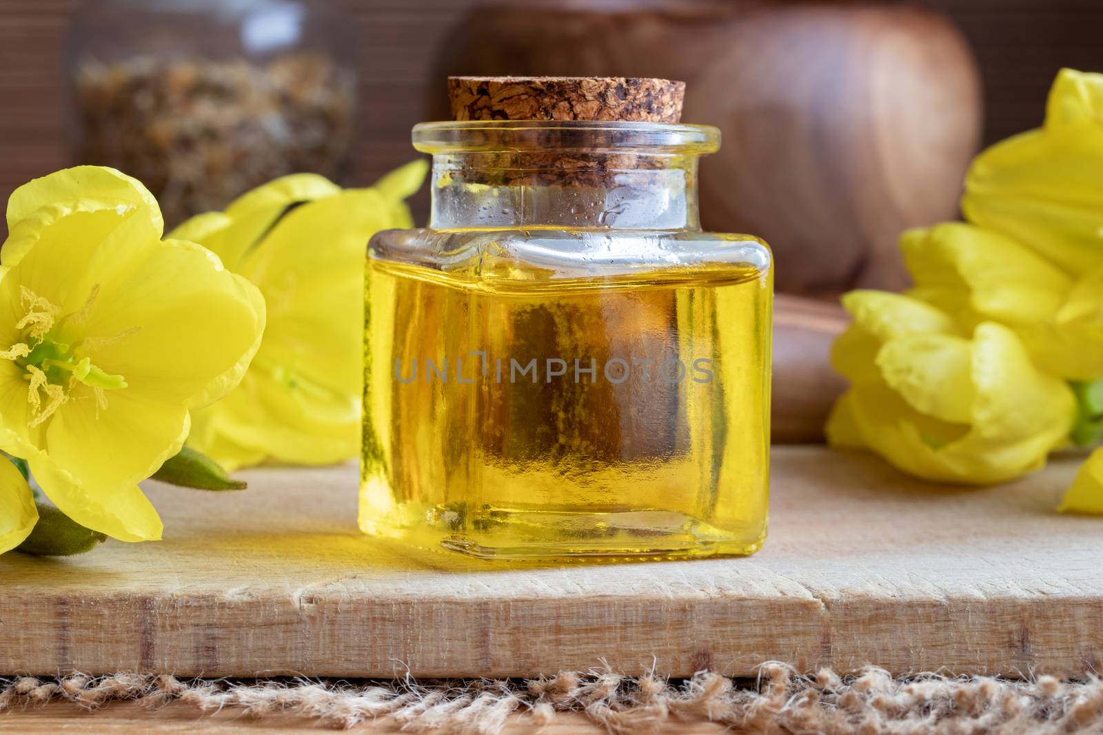 A bottle of evening primrose oil with fresh evening primrose flo by madeleine_steinbach