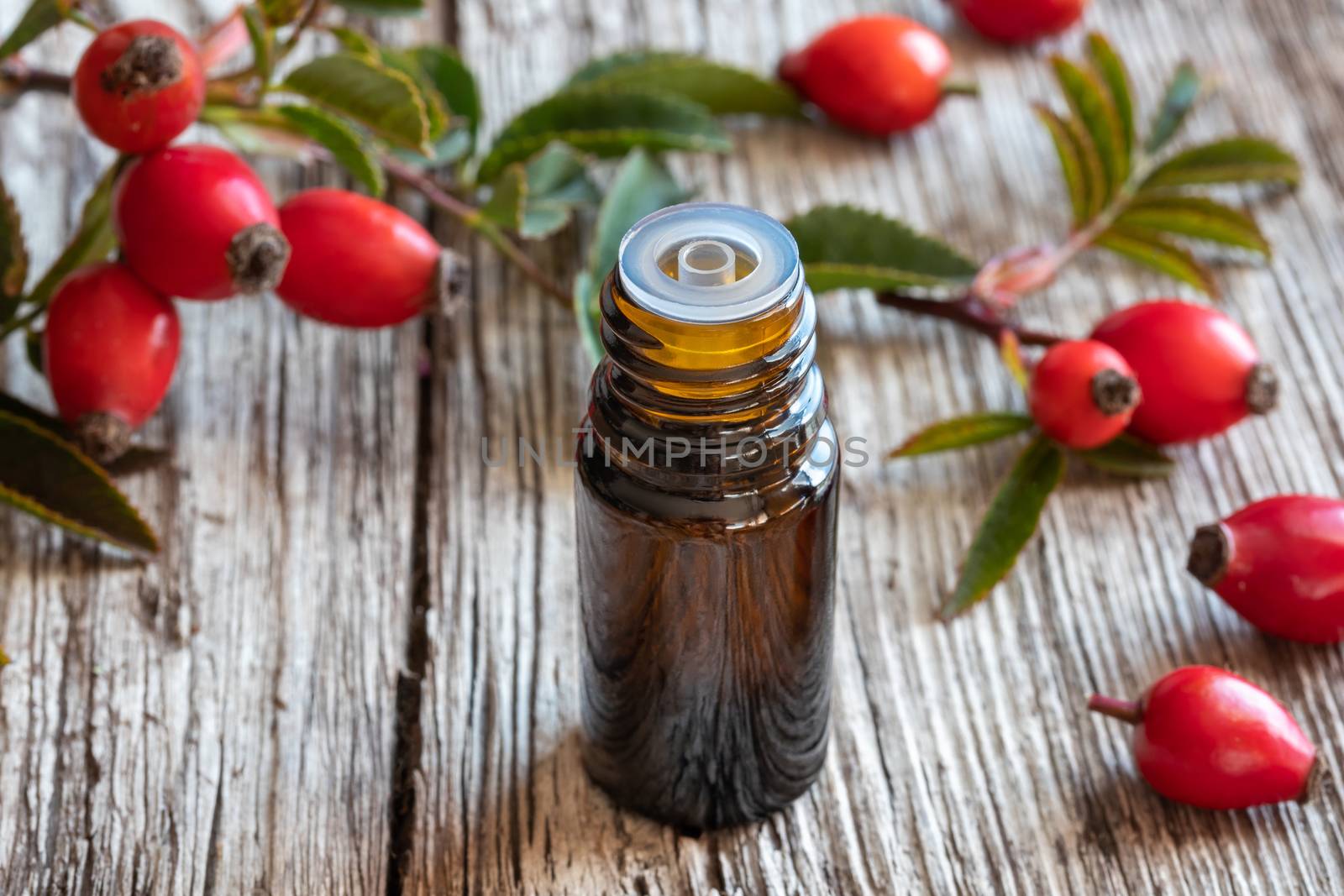 A bottle of rose hip seed oil with fresh rose hips by madeleine_steinbach