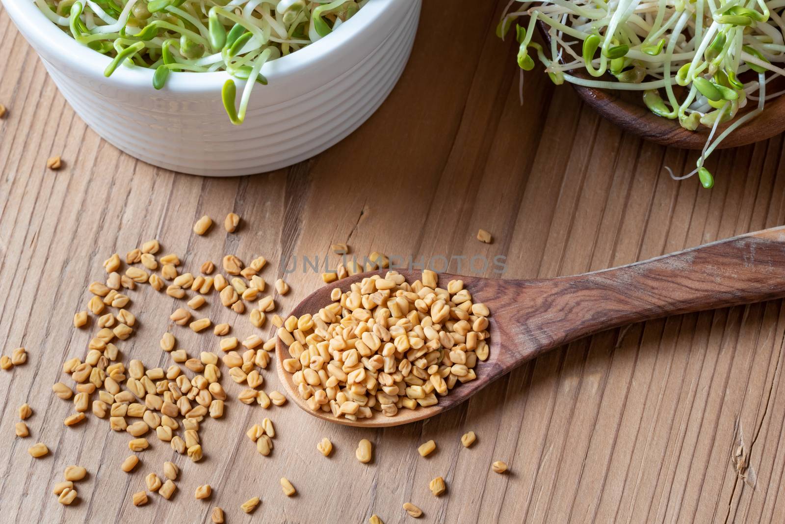 Fenugreek seeds and sprouts on a table by madeleine_steinbach
