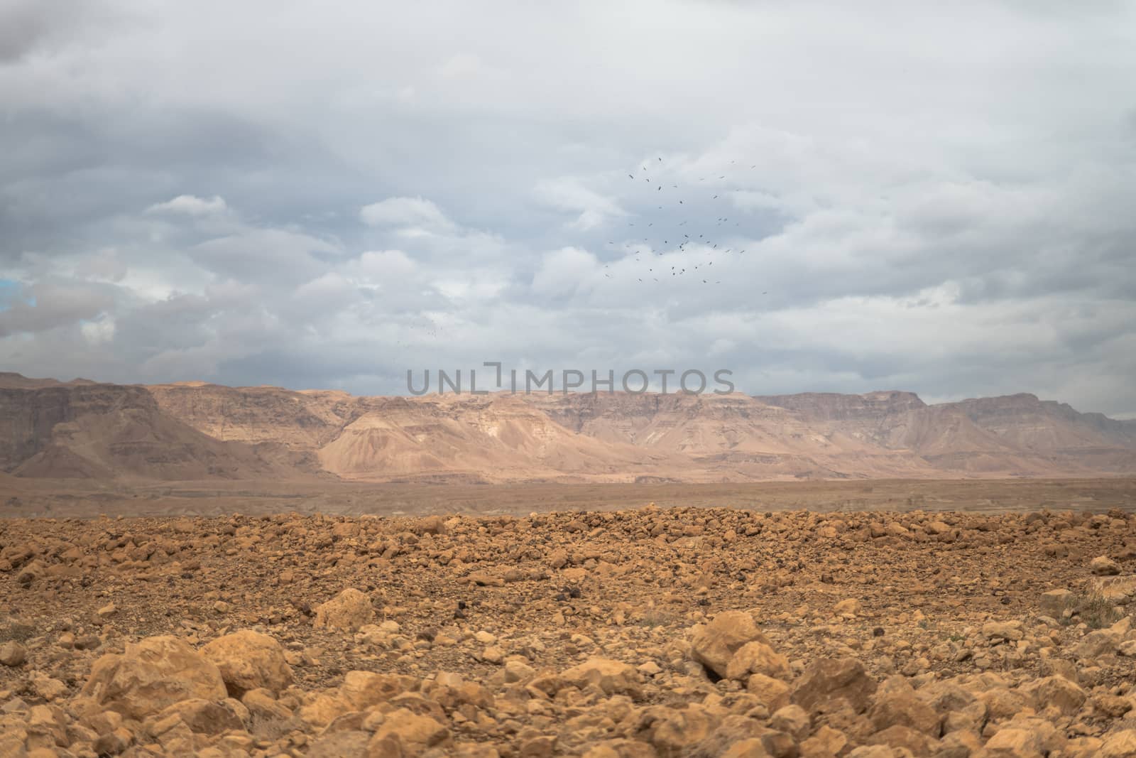 desert of israel near masada at the dead sea