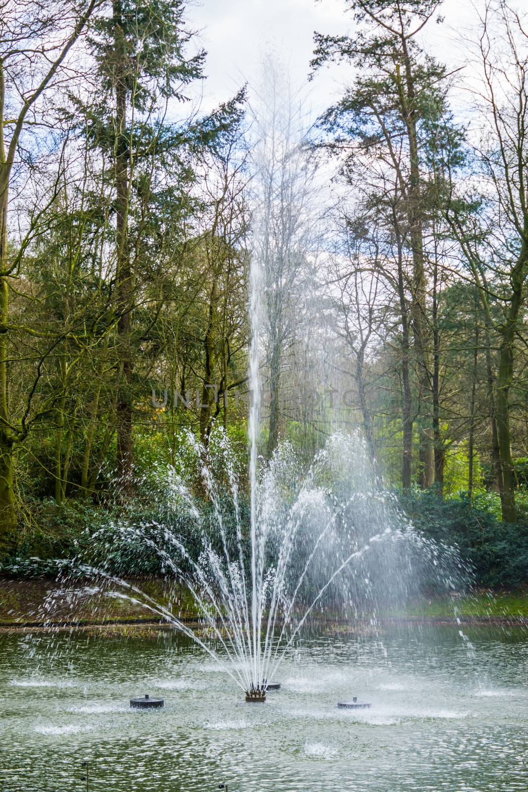 closeup of a water fountain spraying water, beautiful decorations for the garden by charlottebleijenberg