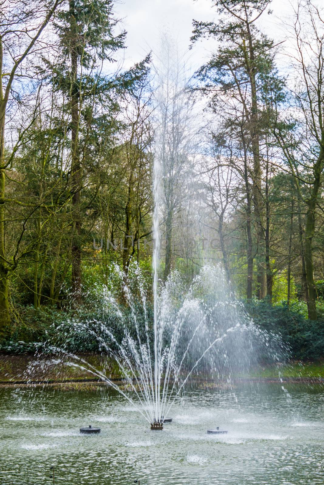 closeup of a water fountain spraying water, beautiful decorations for the garden