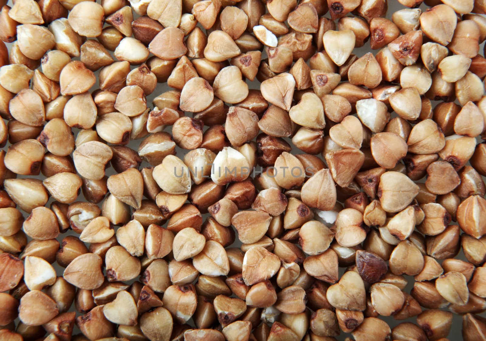 Buckwheat (Fagopyrum Еsculentum) Is A Plant Cultivated For Its Grain-Like Seeds And As A Cover Crop.