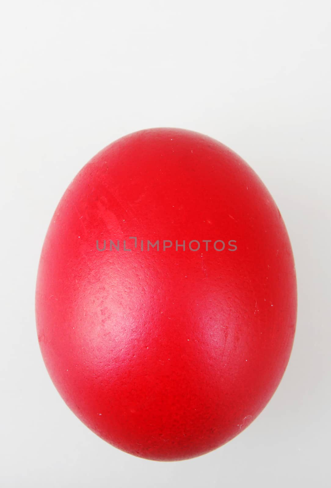 Red Easter Egg Isolated On White by nenovbrothers