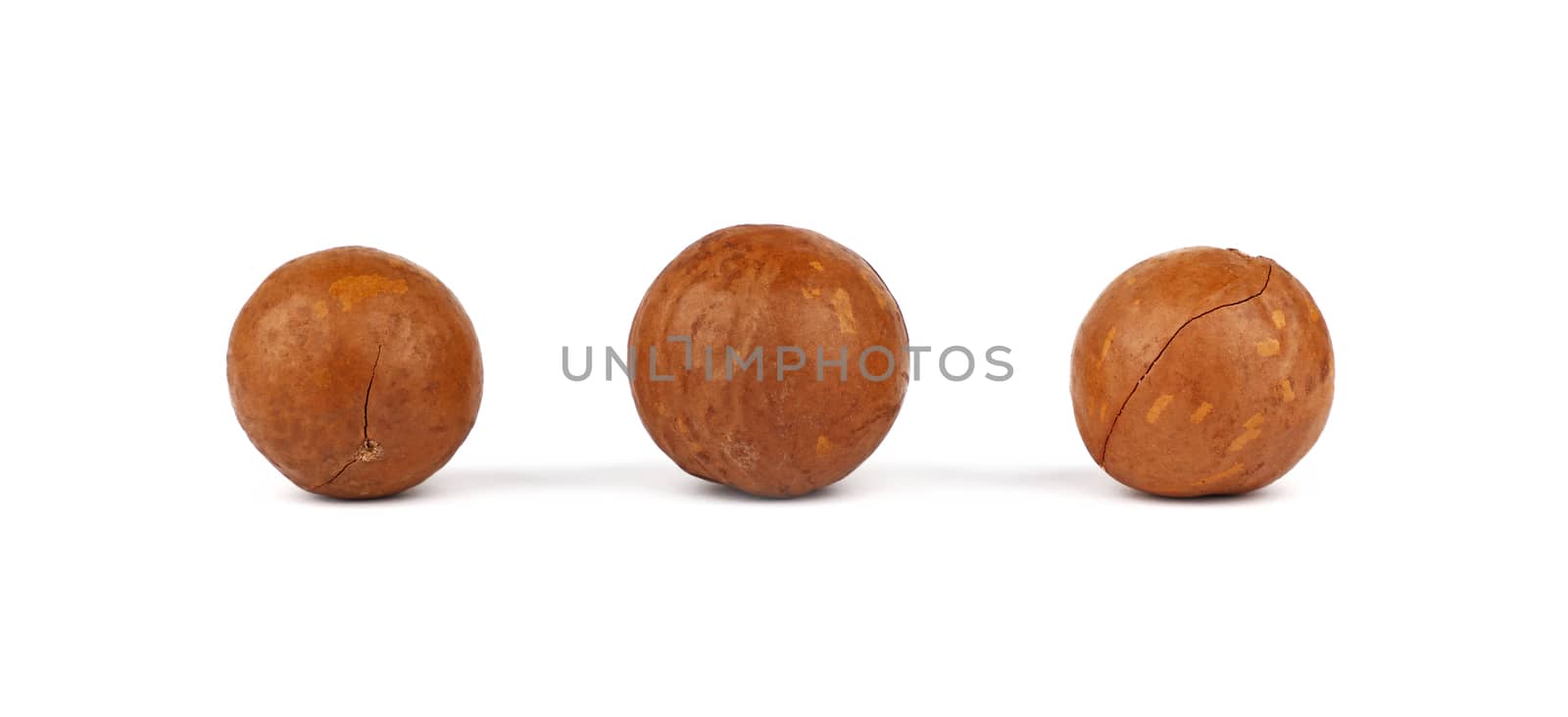 Macadamia nuts isolated on white background by BreakingTheWalls