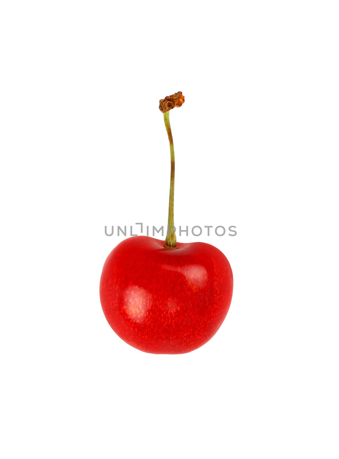 Close up red ripe sweet cherry isolated on white by BreakingTheWalls