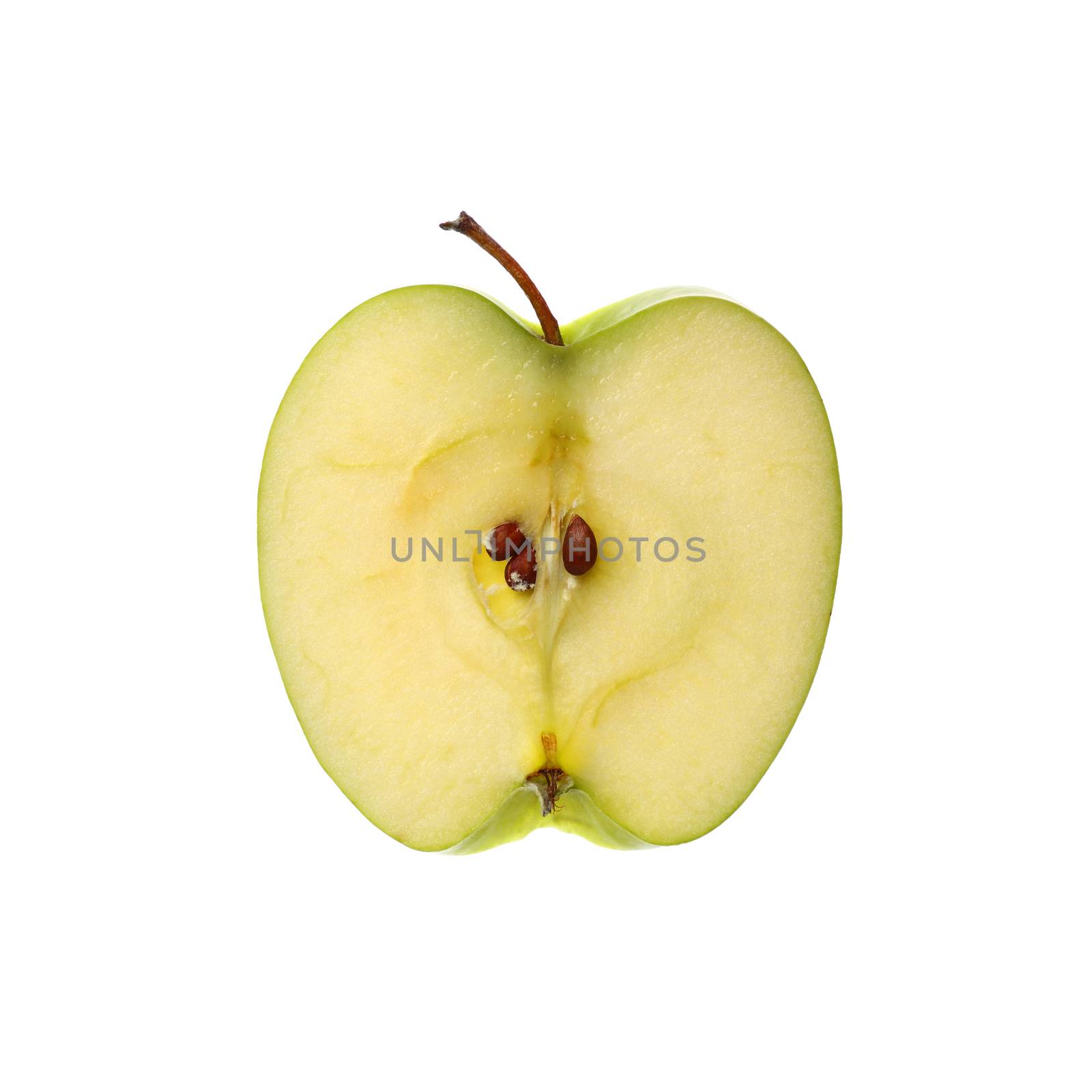 Close up one round thin cut slice of fresh green apple, backlit and isolated on white background
