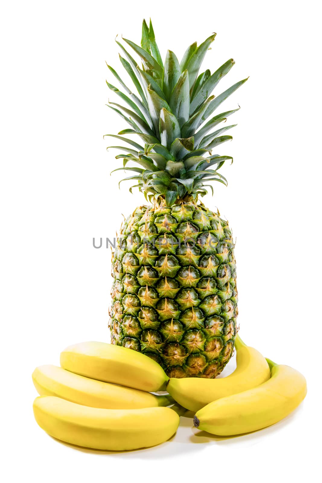 Pineapple surrounded by bananas  against white background by ben44