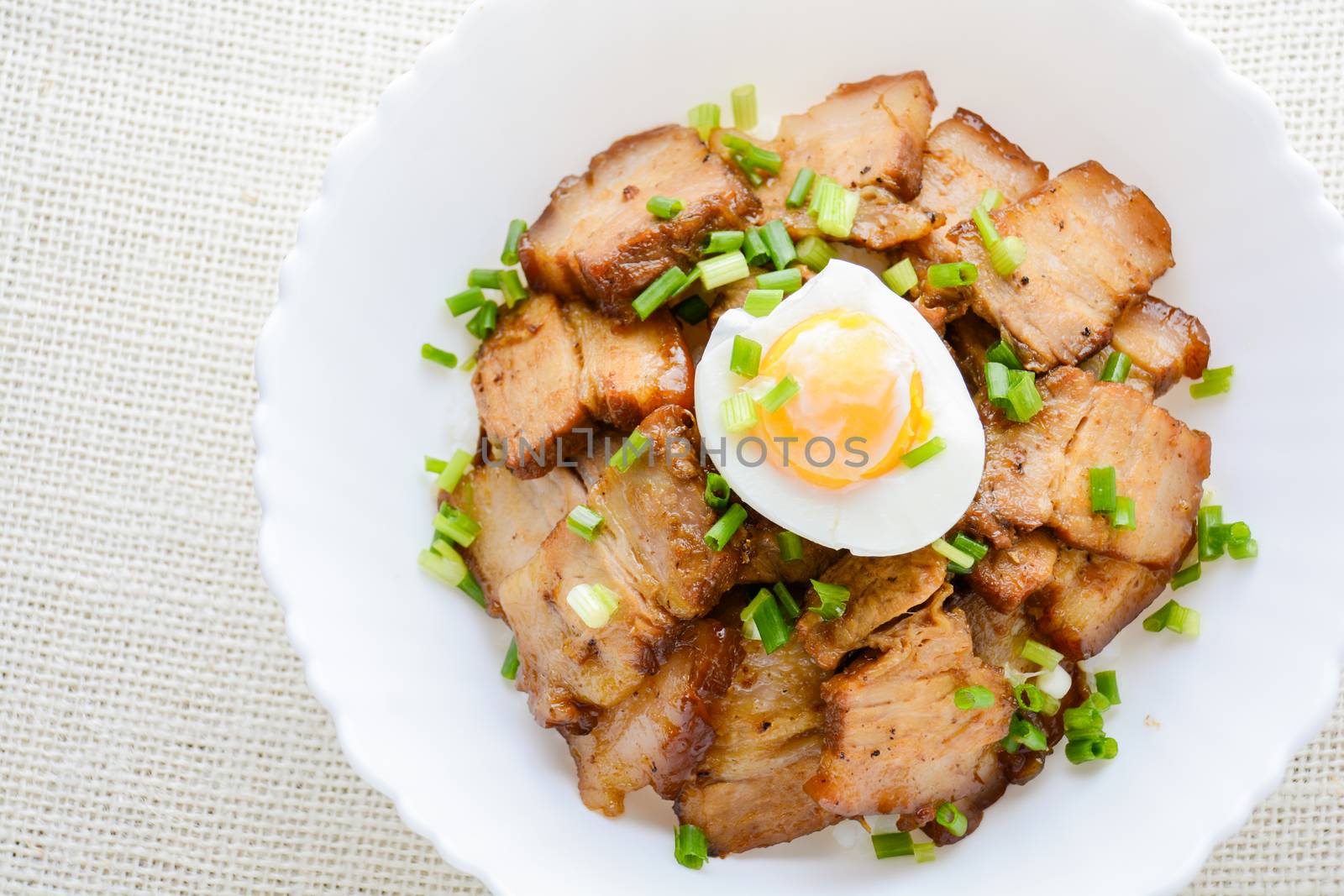 Bowl of rice topped with Braised pork belly by yuiyuize