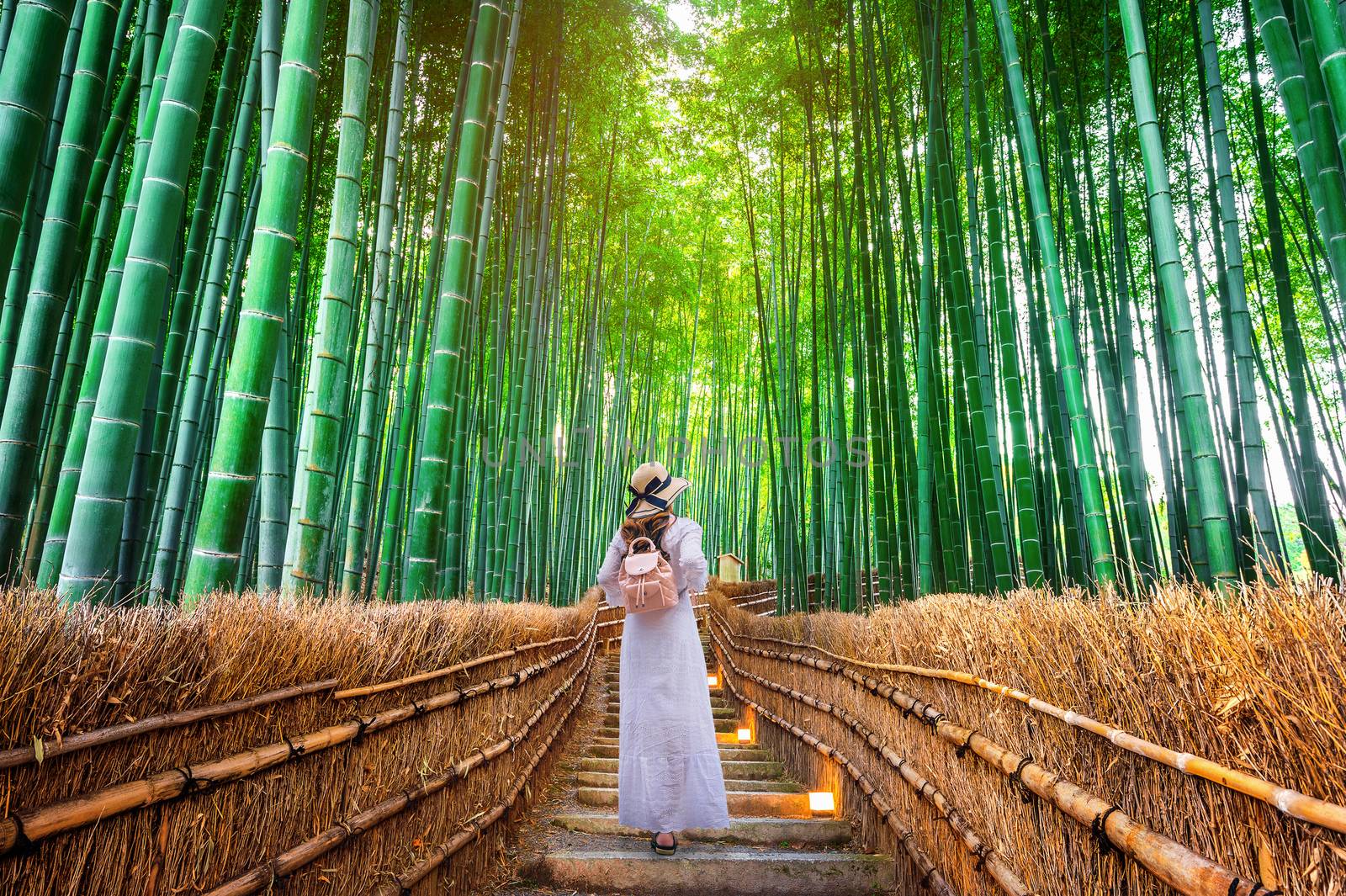 Woman walking at Bamboo Forest in Kyoto, Japan. by gutarphotoghaphy