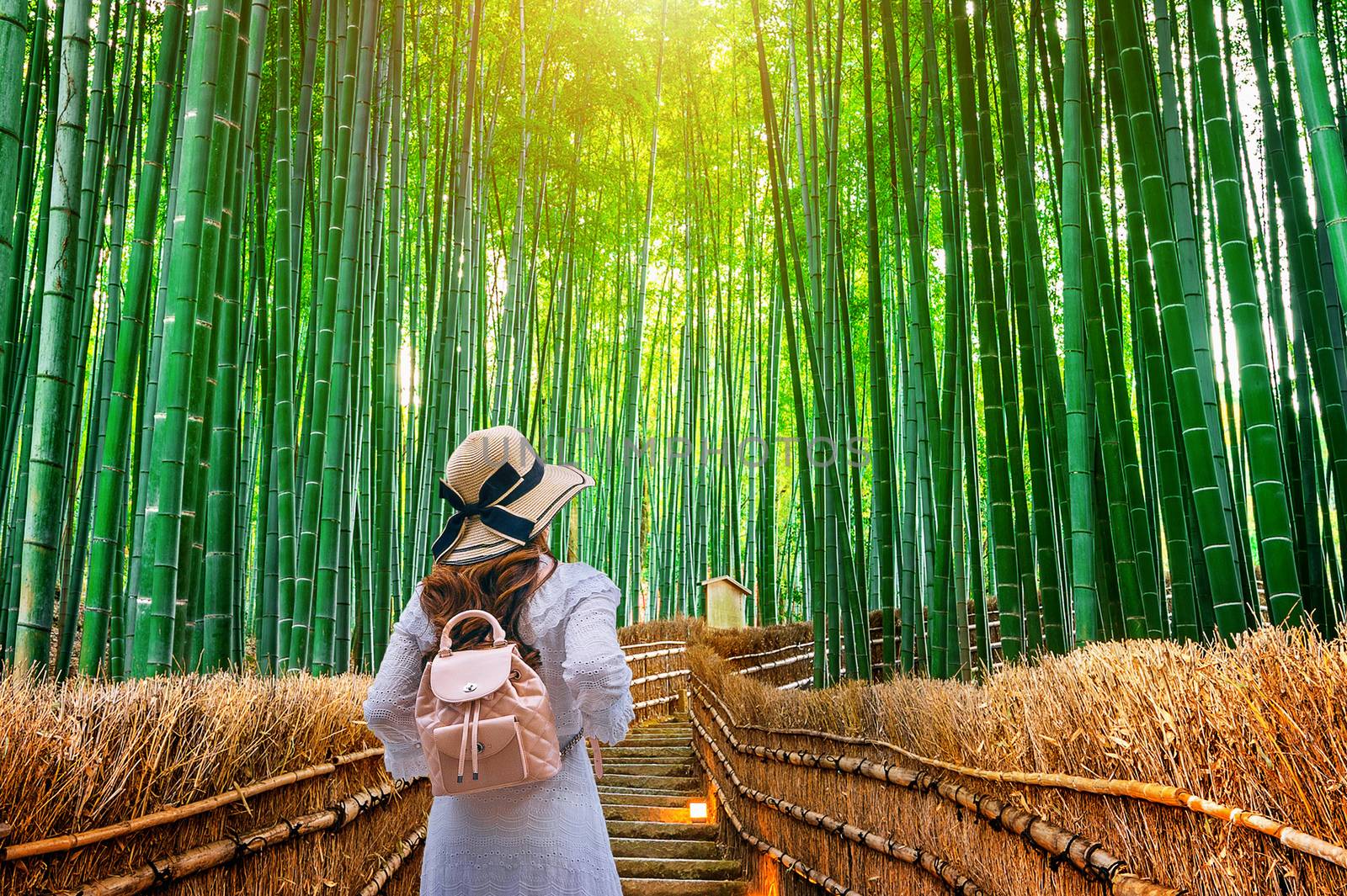 Woman walking at Bamboo Forest in Kyoto, Japan.