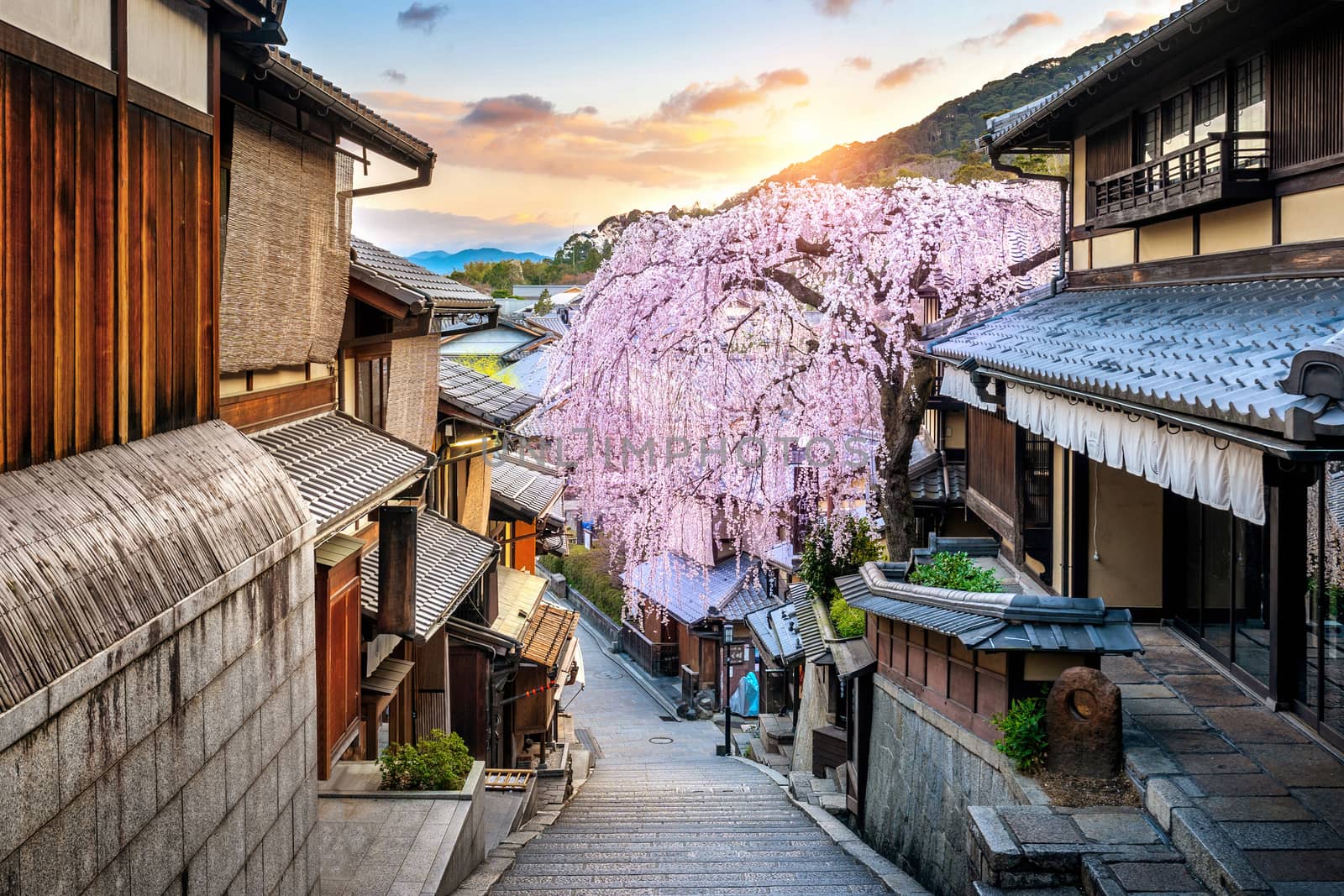 Cherry blossom in springtime at the historic Higashiyama district, Kyoto in Japan.