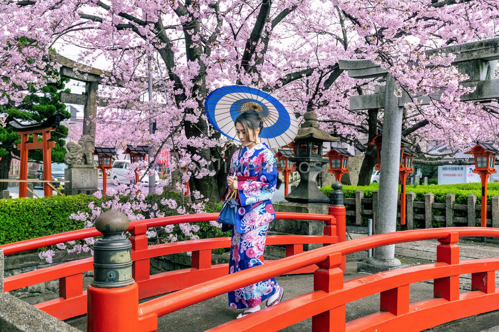 Asian woman wearing japanese traditional kimono and cherry blossom in spring, Kyoto temple in Japan. by gutarphotoghaphy
