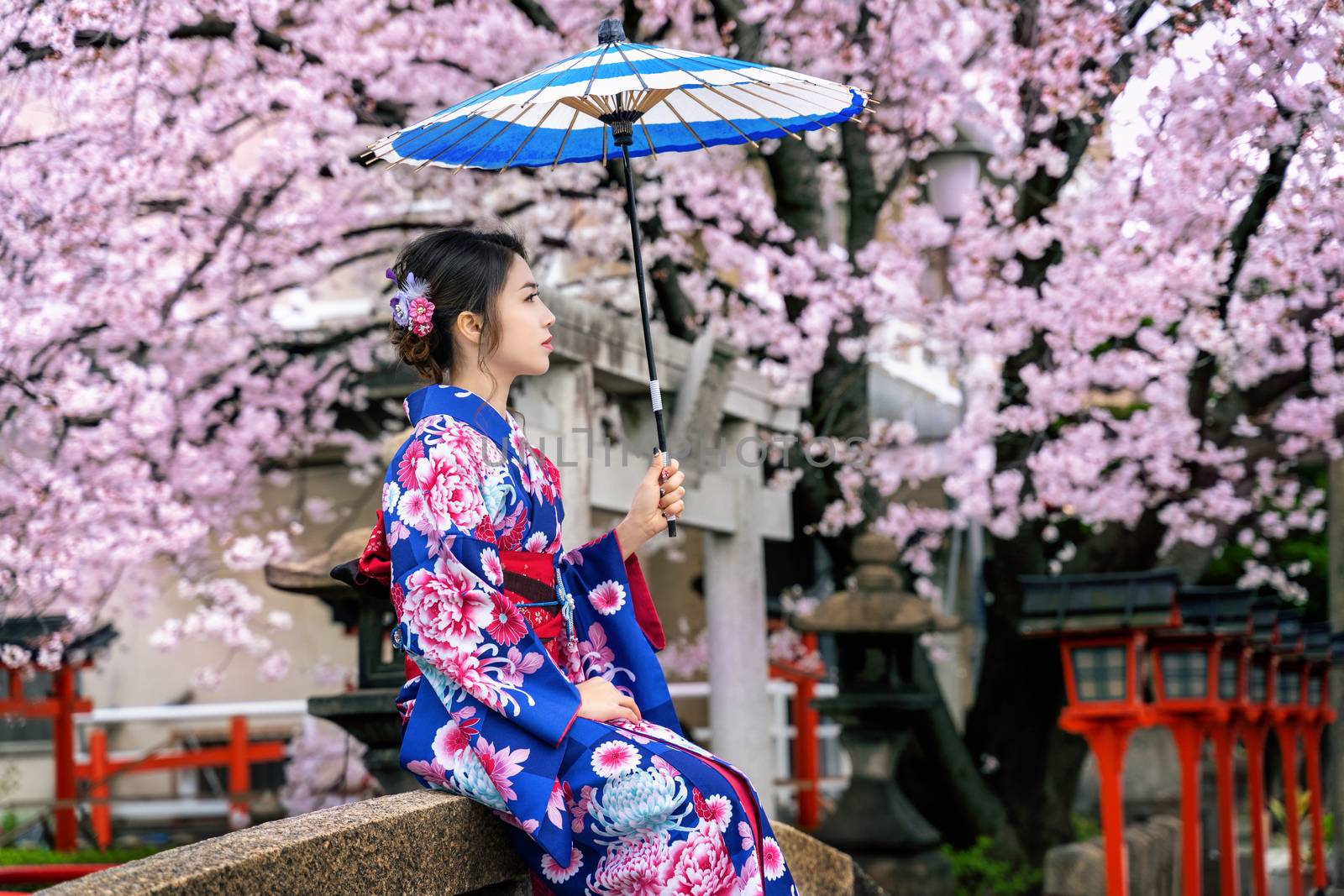 Asian woman wearing japanese traditional kimono and cherry blossom in spring, Kyoto temple in Japan.