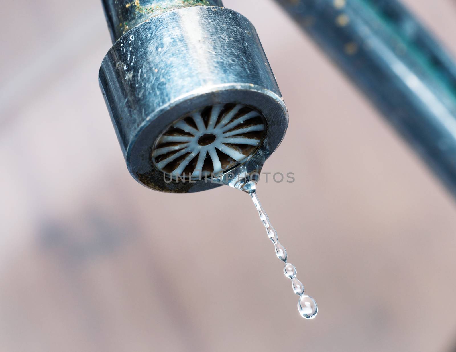 Macro shot of an old kitchen tap dripping, wasting water concept