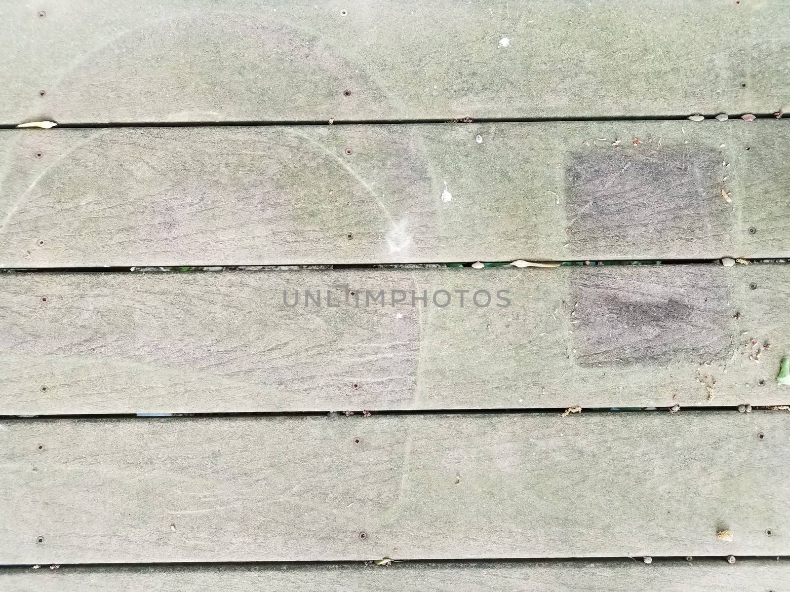 discolored or worn or weathered wood deck boards with algae by stockphotofan1