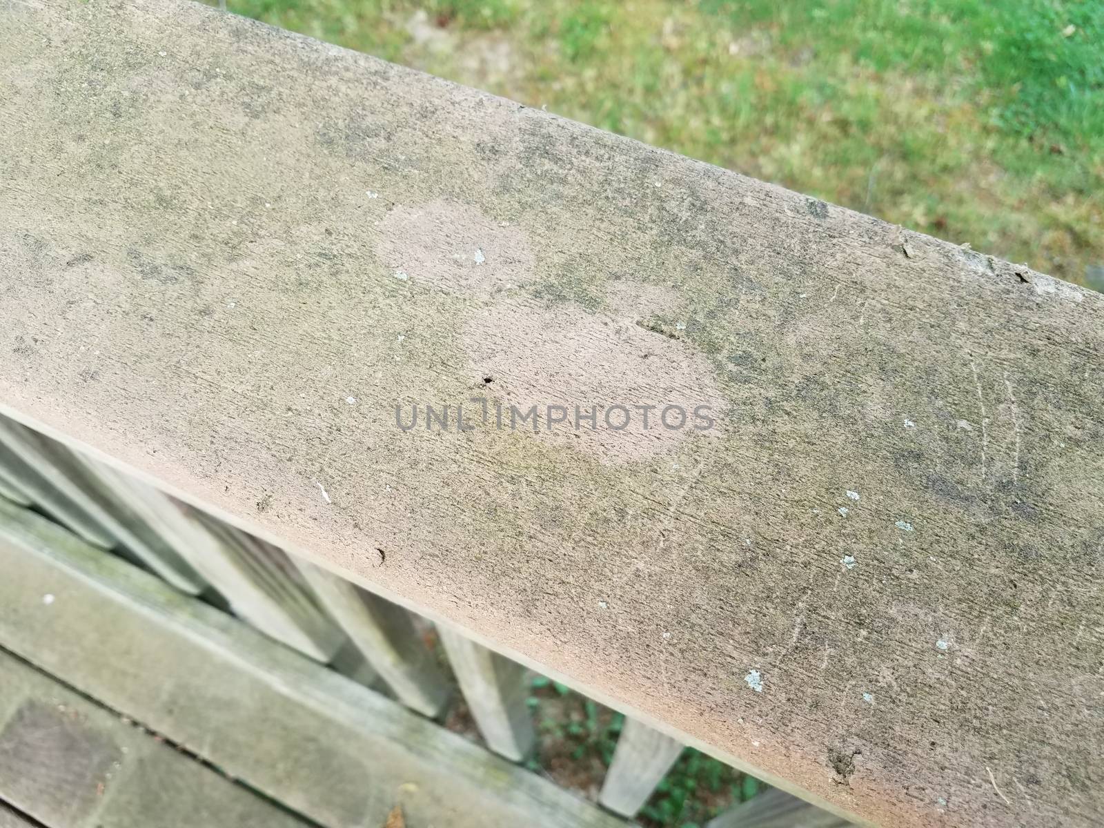 weathered or worn discolored wood deck with green algae by stockphotofan1