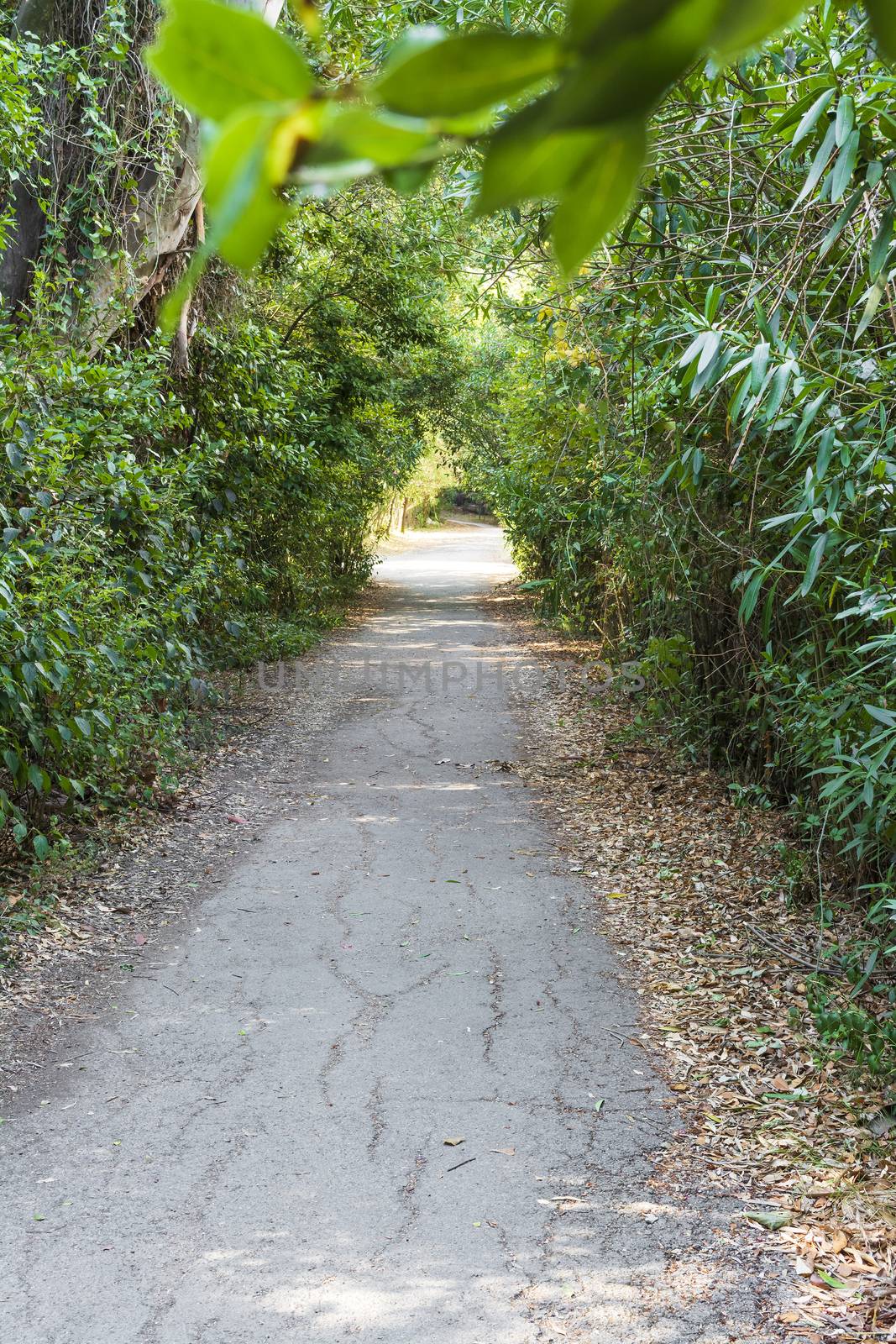 Mon Repos park at Corfu Town, Greece