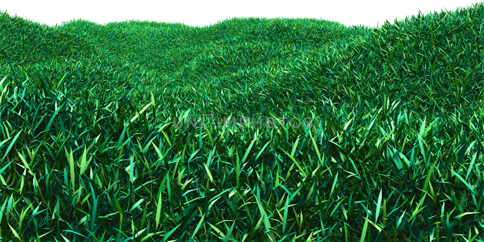 Background image of lush grass field by cherezoff