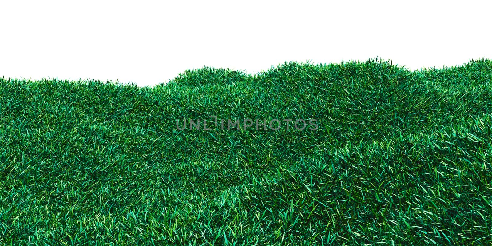 Background image of lush grass field. 3D illustration isolated on white background