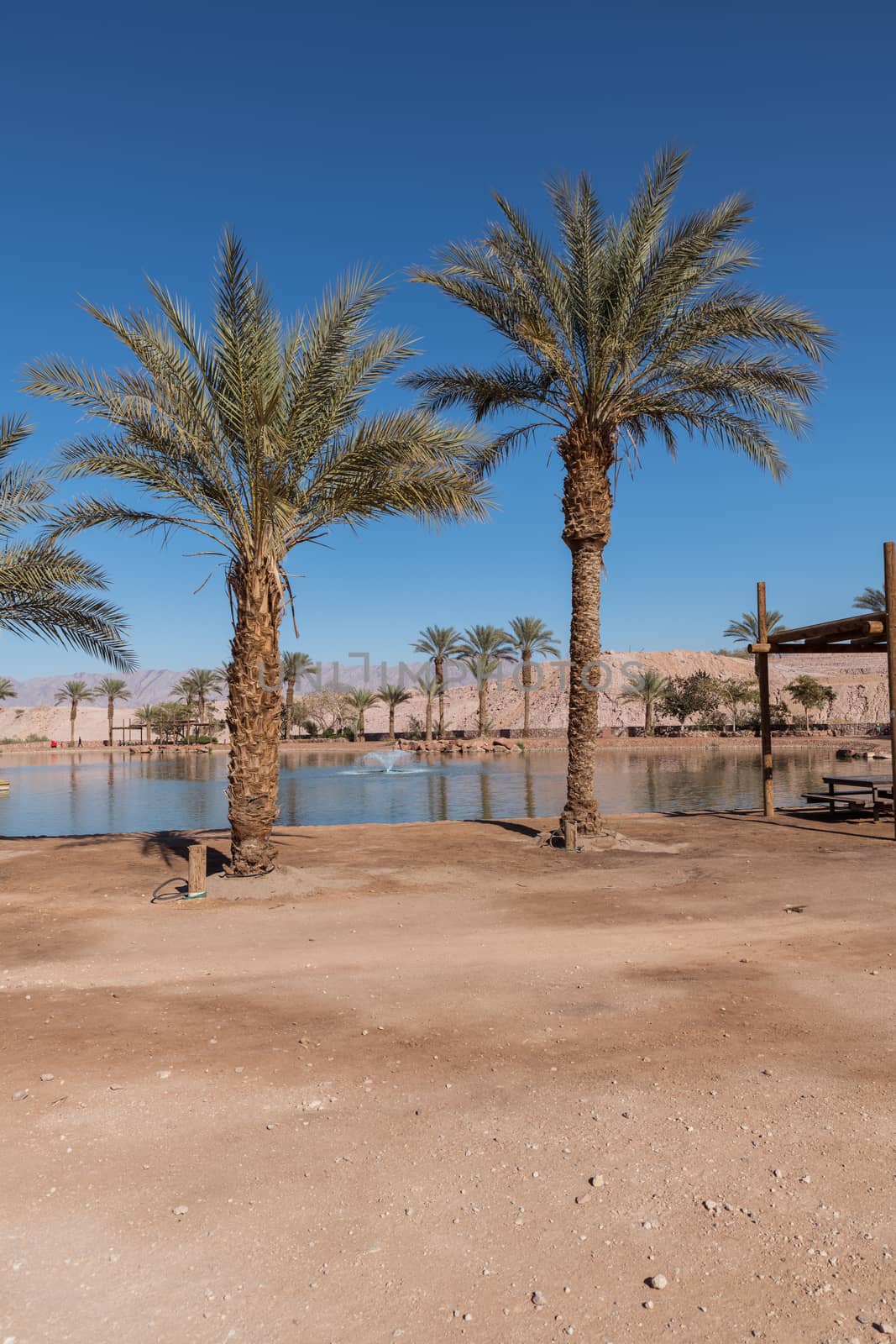 lake in timna national park by compuinfoto