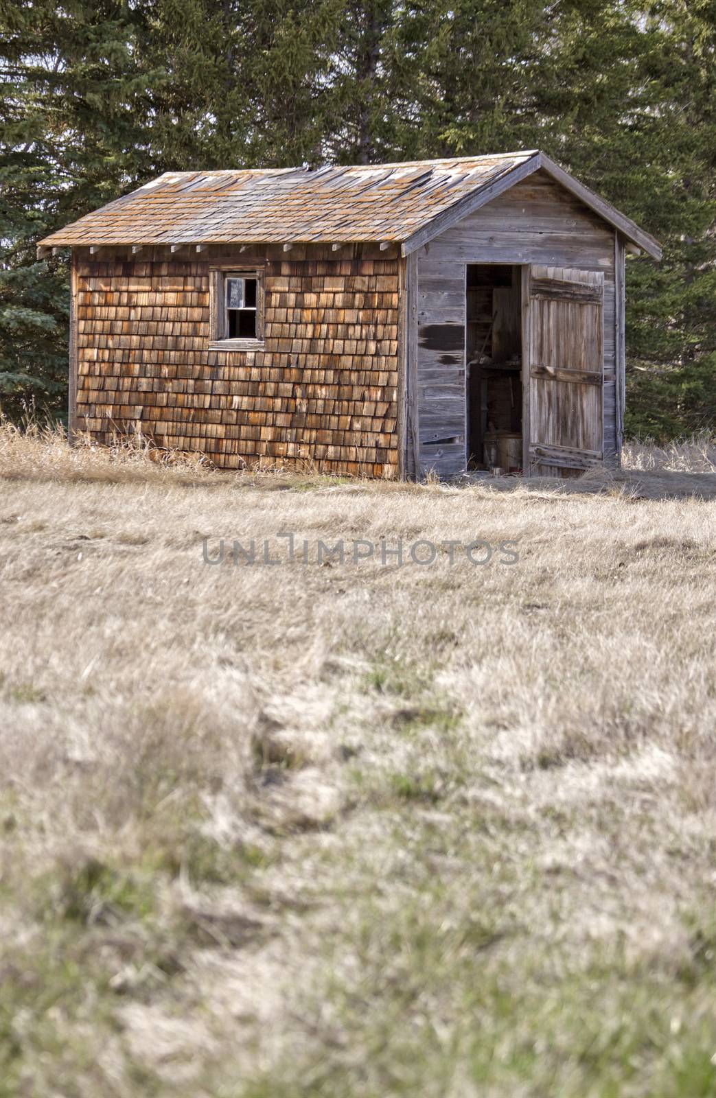 Abandoned Building Prairie Cedar Shake Siding Saskatchewan