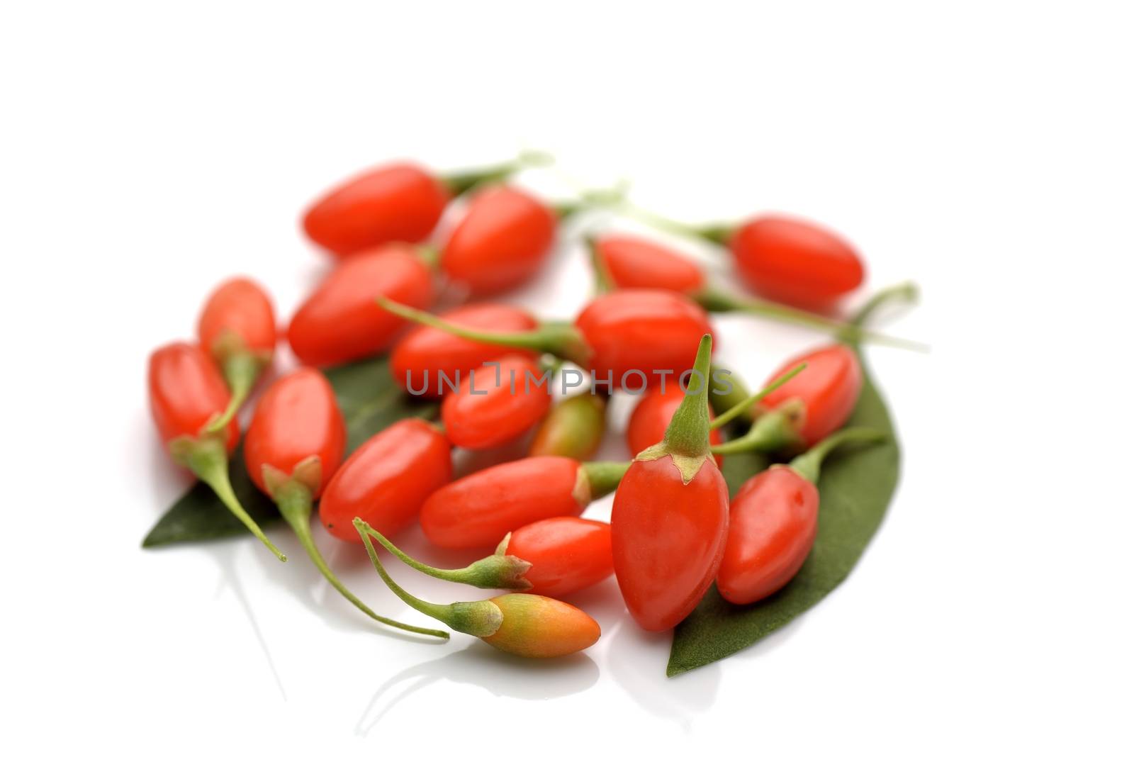 Fresh goji berries on a white background